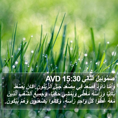 صَمُوئِيلَ ٱلثَّانِي 15:30 AVD Bible Verse Image
