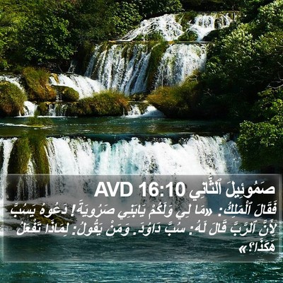 صَمُوئِيلَ ٱلثَّانِي 16:10 AVD Bible Verse Image