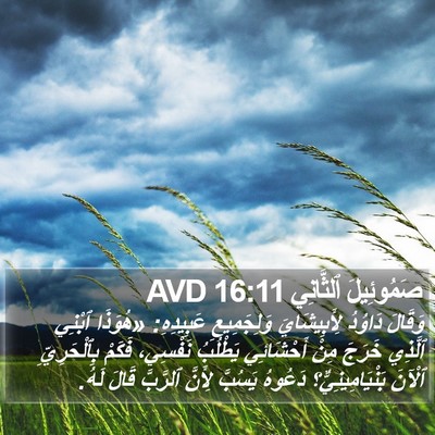 صَمُوئِيلَ ٱلثَّانِي 16:11 AVD Bible Verse Image