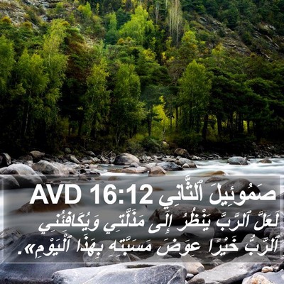 صَمُوئِيلَ ٱلثَّانِي 16:12 AVD Bible Verse Image