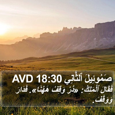 صَمُوئِيلَ ٱلثَّانِي 18:30 AVD Bible Verse Image