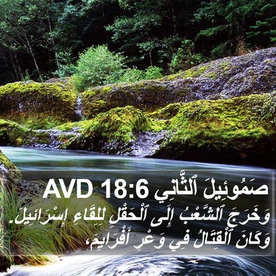 صَمُوئِيلَ ٱلثَّانِي 18:6 AVD Bible Verse Image