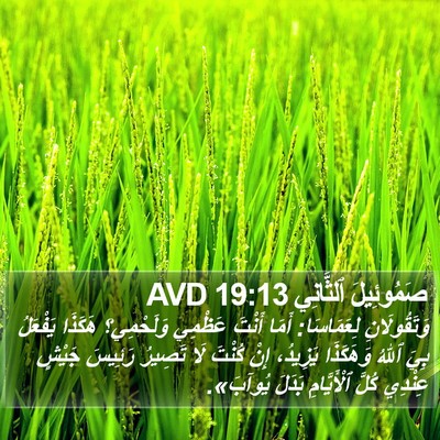 صَمُوئِيلَ ٱلثَّانِي 19:13 AVD Bible Verse Image