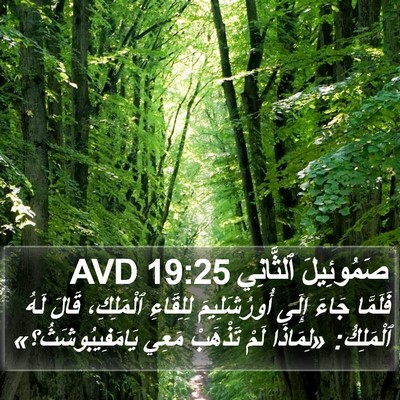 صَمُوئِيلَ ٱلثَّانِي 19:25 AVD Bible Verse Image