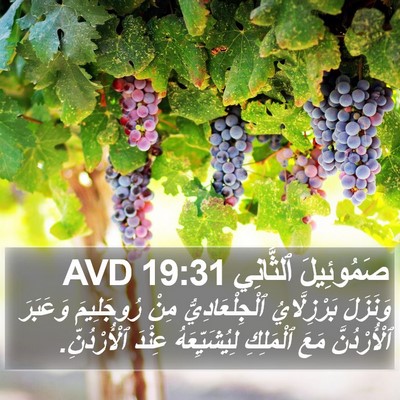 صَمُوئِيلَ ٱلثَّانِي 19:31 AVD Bible Verse Image