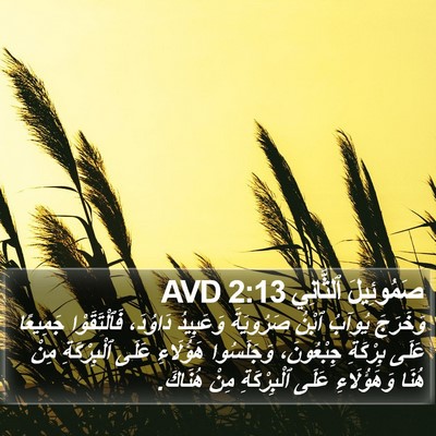 صَمُوئِيلَ ٱلثَّانِي 2:13 AVD Bible Verse Image