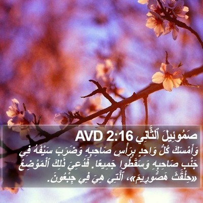 صَمُوئِيلَ ٱلثَّانِي 2:16 AVD Bible Verse Image