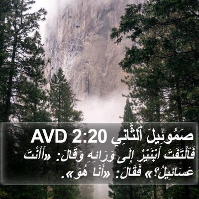 صَمُوئِيلَ ٱلثَّانِي 2:20 AVD Bible Verse Image