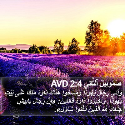 صَمُوئِيلَ ٱلثَّانِي 2:4 AVD Bible Verse Image