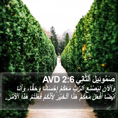 صَمُوئِيلَ ٱلثَّانِي 2:6 AVD Bible Verse Image