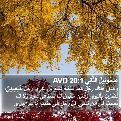 صَمُوئِيلَ ٱلثَّانِي 20:1 AVD Bible Verse Image