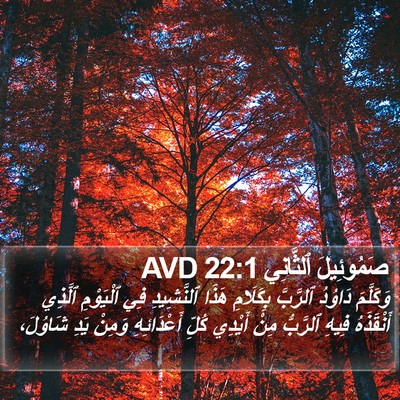صَمُوئِيلَ ٱلثَّانِي 22:1 AVD Bible Verse Image