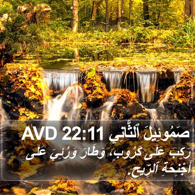 صَمُوئِيلَ ٱلثَّانِي 22:11 AVD Bible Verse Image