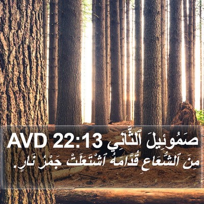 صَمُوئِيلَ ٱلثَّانِي 22:13 AVD Bible Verse Image