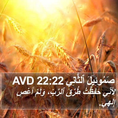 صَمُوئِيلَ ٱلثَّانِي 22:22 AVD Bible Verse Image