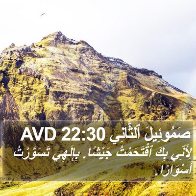 صَمُوئِيلَ ٱلثَّانِي 22:30 AVD Bible Verse Image