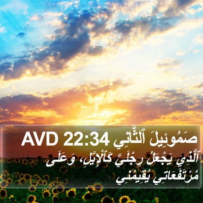 صَمُوئِيلَ ٱلثَّانِي 22:34 AVD Bible Verse Image