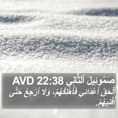 صَمُوئِيلَ ٱلثَّانِي 22:38 AVD Bible Verse Image