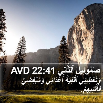 صَمُوئِيلَ ٱلثَّانِي 22:41 AVD Bible Verse Image