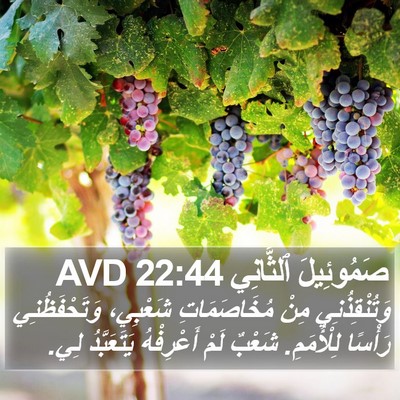 صَمُوئِيلَ ٱلثَّانِي 22:44 AVD Bible Verse Image