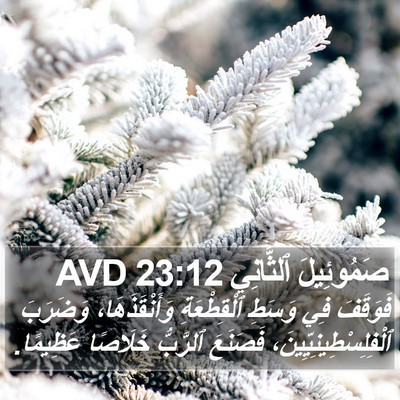 صَمُوئِيلَ ٱلثَّانِي 23:12 AVD Bible Verse Image