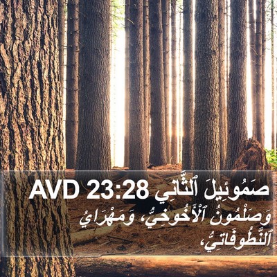 صَمُوئِيلَ ٱلثَّانِي 23:28 AVD Bible Verse Image