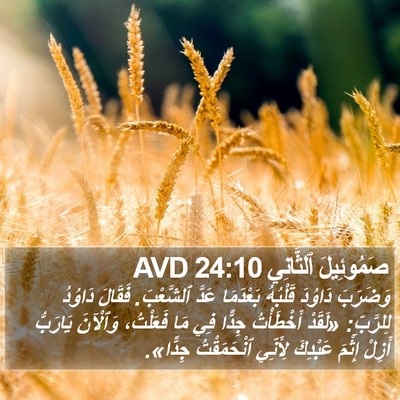 صَمُوئِيلَ ٱلثَّانِي 24:10 AVD Bible Verse Image