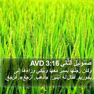 صَمُوئِيلَ ٱلثَّانِي 3:16 AVD Bible Verse Image