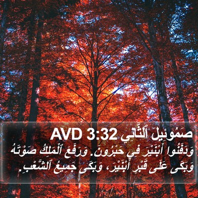 صَمُوئِيلَ ٱلثَّانِي 3:32 AVD Bible Verse Image