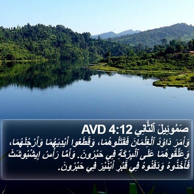 صَمُوئِيلَ ٱلثَّانِي 4:12 AVD Bible Verse Image