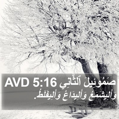 صَمُوئِيلَ ٱلثَّانِي 5:16 AVD Bible Verse Image