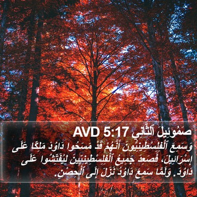 صَمُوئِيلَ ٱلثَّانِي 5:17 AVD Bible Verse Image