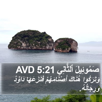 صَمُوئِيلَ ٱلثَّانِي 5:21 AVD Bible Verse Image