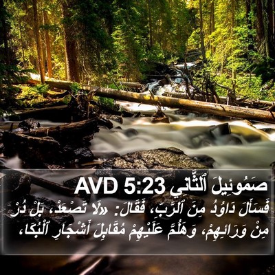 صَمُوئِيلَ ٱلثَّانِي 5:23 AVD Bible Verse Image