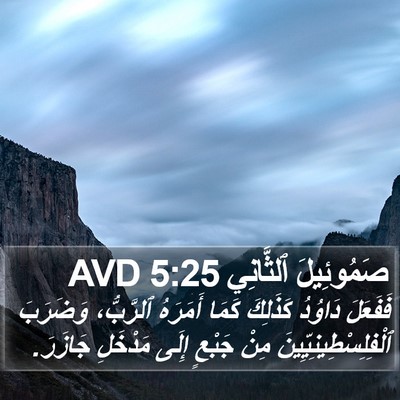 صَمُوئِيلَ ٱلثَّانِي 5:25 AVD Bible Verse Image