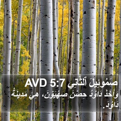 صَمُوئِيلَ ٱلثَّانِي 5:7 AVD Bible Verse Image