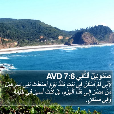 صَمُوئِيلَ ٱلثَّانِي 7:6 AVD Bible Verse Image