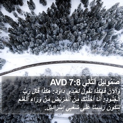صَمُوئِيلَ ٱلثَّانِي 7:8 AVD Bible Verse Image
