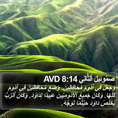 صَمُوئِيلَ ٱلثَّانِي 8:14 AVD Bible Verse Image