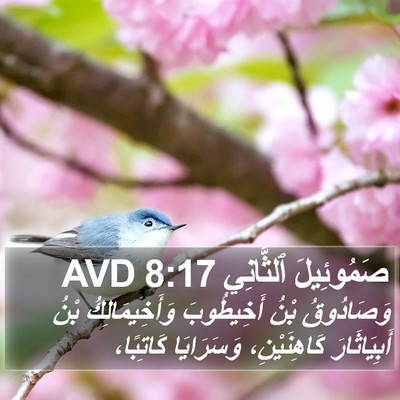 صَمُوئِيلَ ٱلثَّانِي 8:17 AVD Bible Verse Image