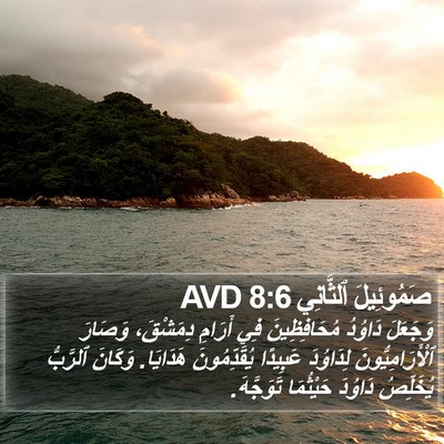 صَمُوئِيلَ ٱلثَّانِي 8:6 AVD Bible Verse Image
