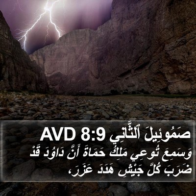 صَمُوئِيلَ ٱلثَّانِي 8:9 AVD Bible Verse Image