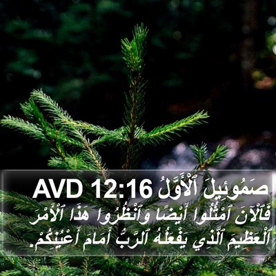 صَمُوئِيلَ ٱلْأَوَّلُ 12:16 AVD Bible Verse Image