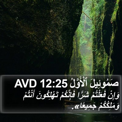 صَمُوئِيلَ ٱلْأَوَّلُ 12:25 AVD Bible Verse Image