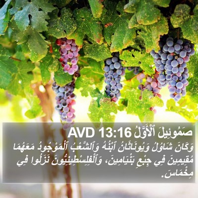 صَمُوئِيلَ ٱلْأَوَّلُ 13:16 AVD Bible Verse Image