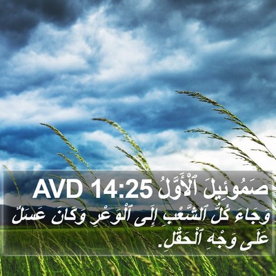 صَمُوئِيلَ ٱلْأَوَّلُ 14:25 AVD Bible Verse Image