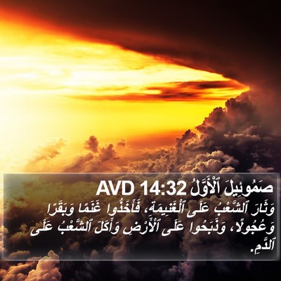 صَمُوئِيلَ ٱلْأَوَّلُ 14:32 AVD Bible Verse Image
