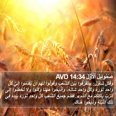 صَمُوئِيلَ ٱلْأَوَّلُ 14:34 AVD Bible Verse Image
