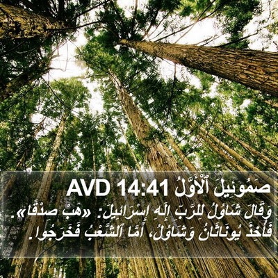 صَمُوئِيلَ ٱلْأَوَّلُ 14:41 AVD Bible Verse Image