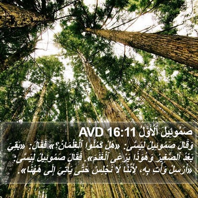 صَمُوئِيلَ ٱلْأَوَّلُ 16:11 AVD Bible Verse Image